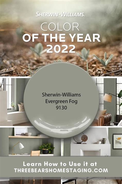 Balancing Familiar And Fantastical With Sherwin Williams Color Of The Year Evergreen Fog