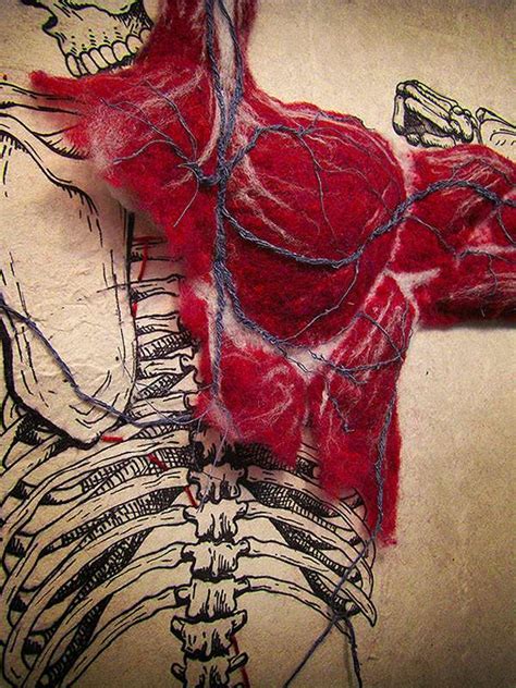 Human body, the physical substance of the human organism, composed of living cells and extracellular materials and organized into tissues, organs, and systems. Introspective Body Art : felted anatomy