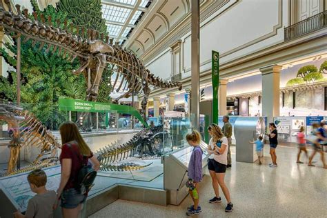 National Museum Of Natural History Fossil Hall Renovation Ewingcole