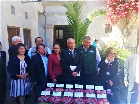 Último partido de nacional de visitante. Día de la papa: Arequipa es la región con mayor ...