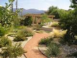 Images of Landscaping Xeriscape