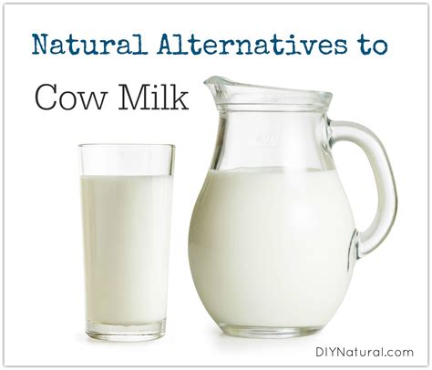 Natural Milk Substitute And Milk Alternatives