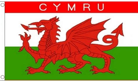 Cymru Flag Small Mrflag
