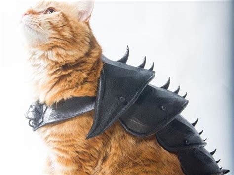 Heck Yeah Battle Cats D Print Your Own Cat Armor Cat Armor Cats