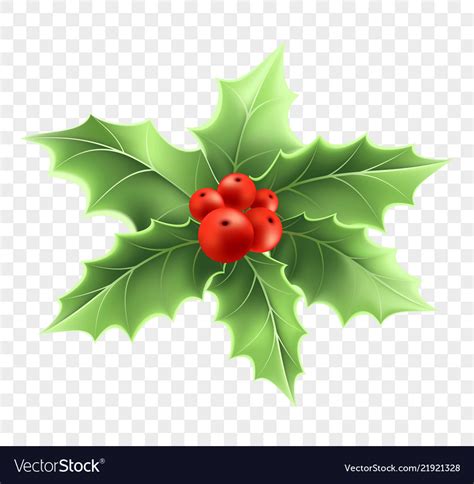 Download Christmas holly branch realistic Royalty Free Vector Image