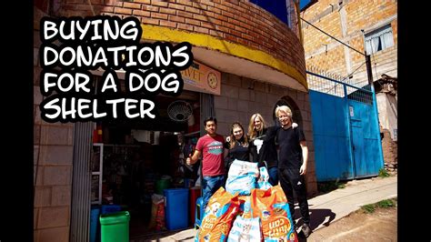 We Bought Donations For A Dog Shelter Youtube