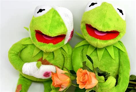 Kermit Greetings Frog Get Well Soon Roses Soft Toy Stuffed Animal