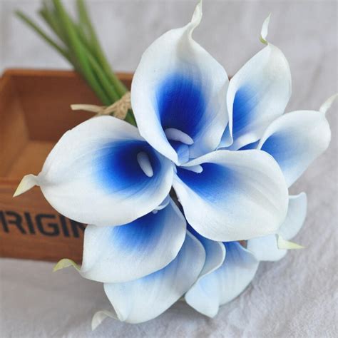 9pcs Real Touch Royal Blue Picasso Calla Lilies Calla Lily Etsy