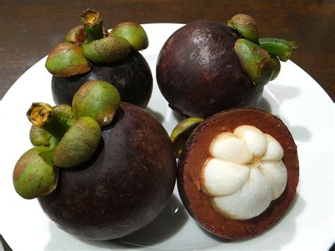 Mangosteen Tree And Fruit