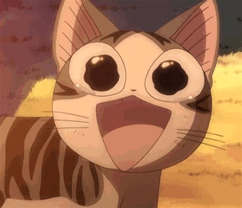 World Of Chi Cute Cat  Chis Sweet Home Anime Cat