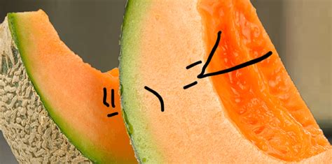 Cantaloupes Cant Aloupe Annoying Orange Fanon Wiki Fandom