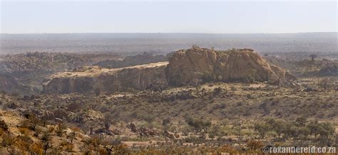 Mapungubwe National Park Everything You Need To Know Roxanne Reid