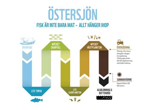 It usually comes in a jar filled with little pellets of pollen that you. Annicas ekologi : Överfiske I Östersjön