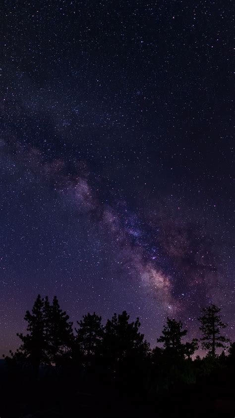 Download Wallpaper 1080x1920 Starry Sky Trees Milky Way California