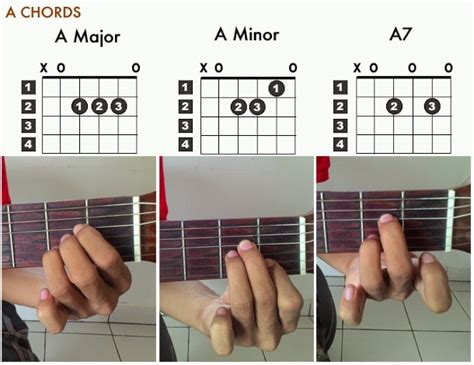 Cara Belajar Gitar Dengan Mudah Dan Lengkap