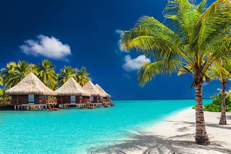Moorea Vacation Packages With Airfare Liberty Travel