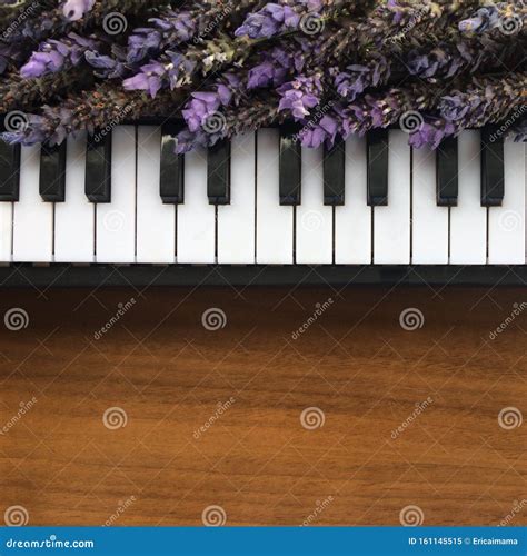 A Bouquets Of Purple Lavender On Piano Keyboard On Wooden Table Stock