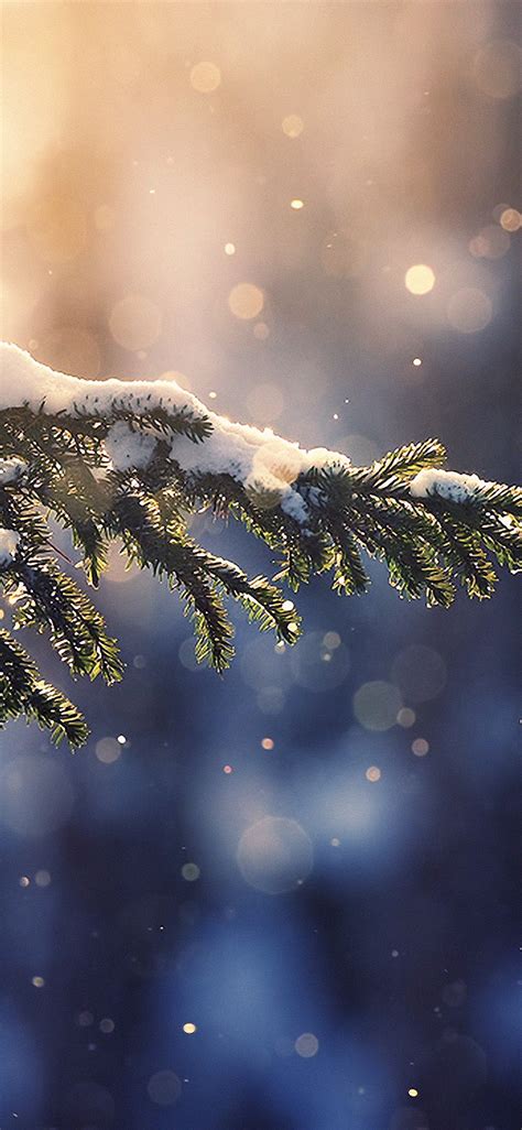 Free Download 25 Winter Iphone Wallpapers 750x1334 For Your Desktop