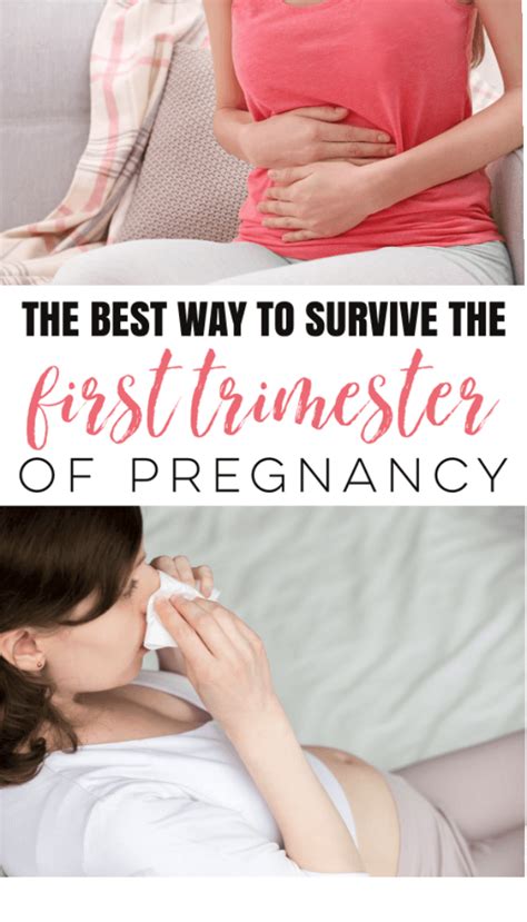 Pin On First Trimester Tips