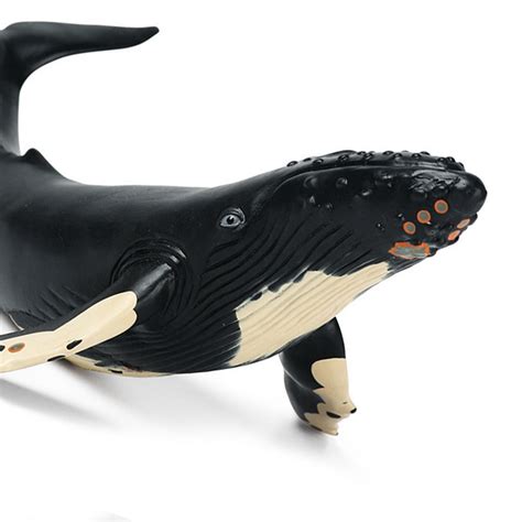 ﹉sea Life Animals Killer Whale Model Action Figures Pvc And Simulation