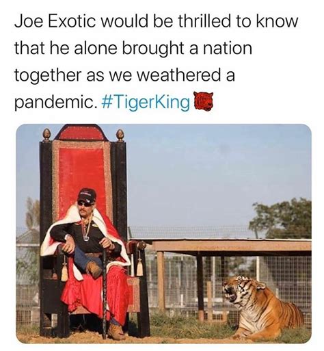25 Of The Best Tiger King Memes Champion Daily Page 15