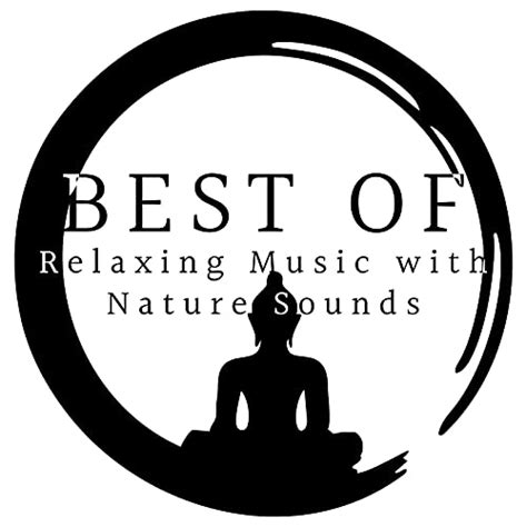 Best Of 35 Relaxing Music With Nature Sounds For Meditation Yoga And Deep