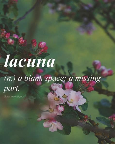 A Pink Flower With The Words Lacuna On It In Front Of A Green Background