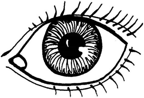 Detailed Eye Drawing at GetDrawings | Free download