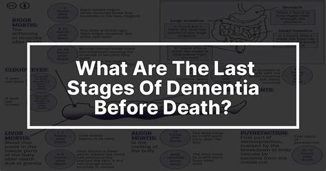 What Are The Last Stages Of Dementia Before Death Medforthospitals