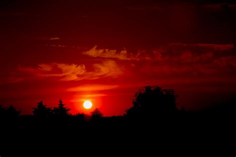 Beautiful Red Sunset Sunset Nature