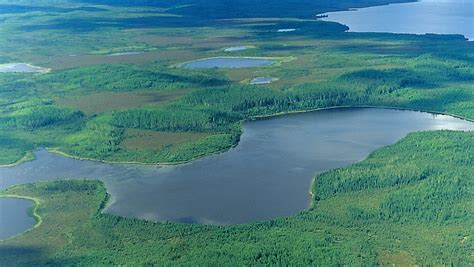 Ab Establishes Worlds Largest Protected Boreal Land Pulp And Paper