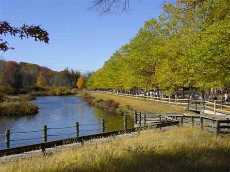 Forest Park The Jewel Of Springfield Massachusetts Wanderwisdom