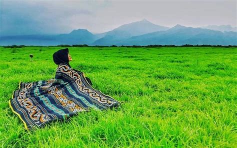 Dilansir dari rakyatjateng.fajar.co.id, tangkapan layar vidio tidak senonoh itu seperti. Gunung Rowo Viral : Viral Mendadak Ini Dia New Sabana Rawa ...