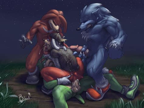 Rule 34 Anal Fur Furry Hedgehog Knuckles The Echidna Leostar Lion21