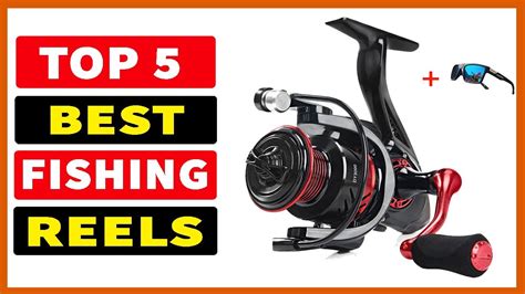 Top 5 Best Spinning Fishing Reels 2023 YouTube