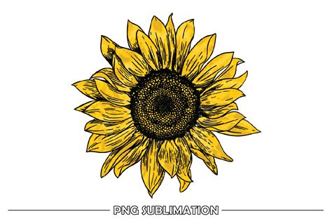 Vintage Yellow Sunflower Sublimation Graphic By Smart Crafter