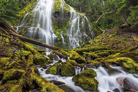 Us National Forests Of Oregon Worldatlas