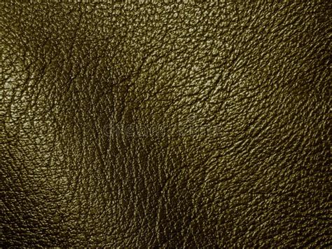 Texture Of Genuine Leather Close Up Embossed Under The Skin Of Reptile