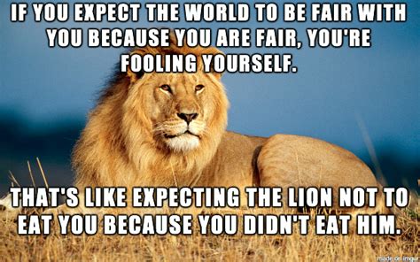 25 Lion Memes That Will Make You Feel Like A King Fun Facts About