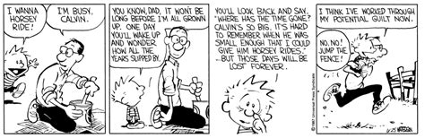 Calvin And Hobbes By Bill Watterson For June 25 1987
