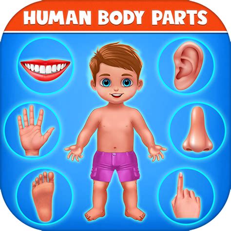 Human Body Parts Preschool Kids Learningukappstore For