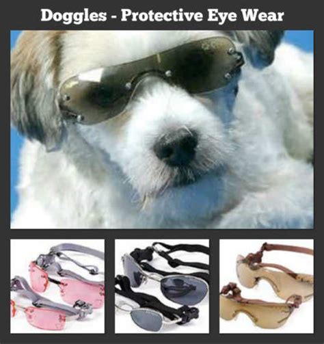 Affordable And High Quality Pet Products What Are Doggles