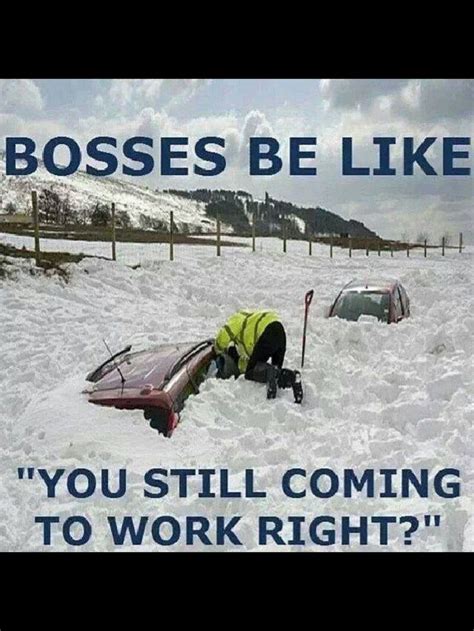 89 Best Snow Winter Fun Images On Pinterest Funny