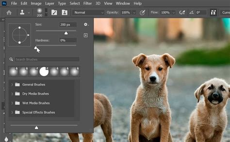Clone Stamp Tool In Photoshop A Beginners Guide To Perfect
