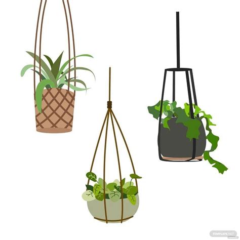 House Plant Vector In Eps Illustrator  Png Svg Download