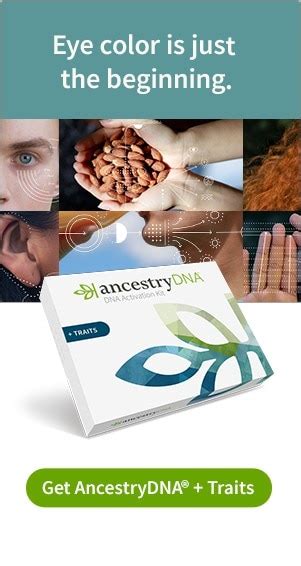 What Is DNA AncestryDNA Learning Hub