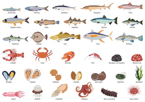 Health Food Solution Fish And Meat Fish And Seafood Fish Chart