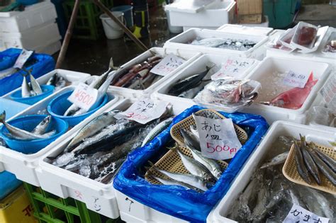 Company Introduction Pesca Rich Europe Ltd Japanese