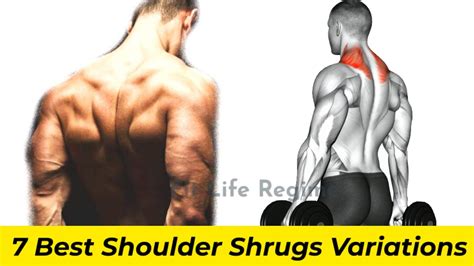 7 Best Shoulder Shrug Variations For Bigger Traps Shoulder Shrug