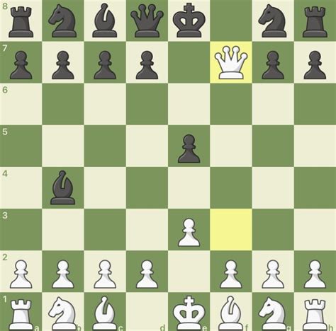 Correct Checkmate Position Chess Forums